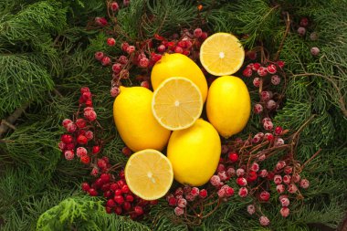 Dilimlenmiş limon bir sürü köknar ve rowan berry Dalı ile ayarla.