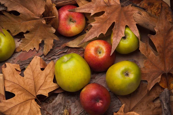 Kolorowe dojrzałych jabłek w żółte liście — Zdjęcie stockowe