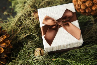 Çam dalları üzerinde kahverengi fiyonklu hediye kutusu