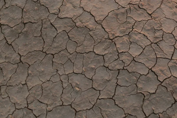 砂漠の乾燥した地球、地球温暖化の概念. — ストック写真