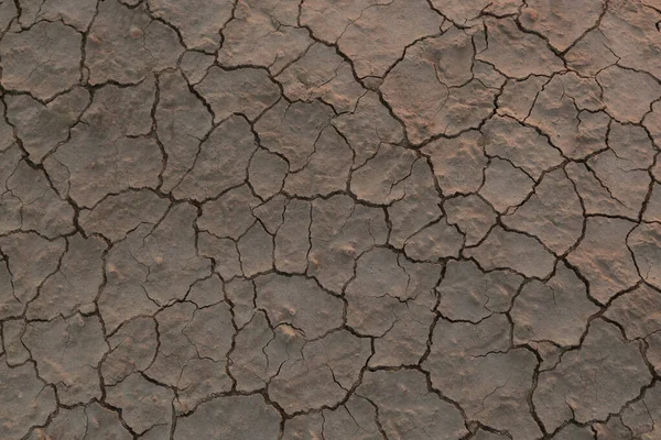 Droge gebarsten aarde in de woestijn, concept van opwarming van de aarde. — Stockfoto