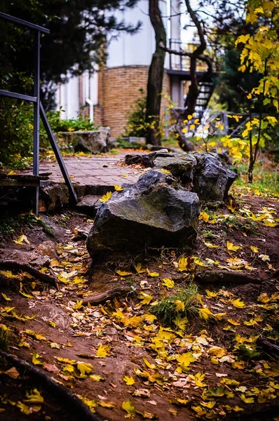 Herfst alley leidt tot een café in het bos — Stockfoto