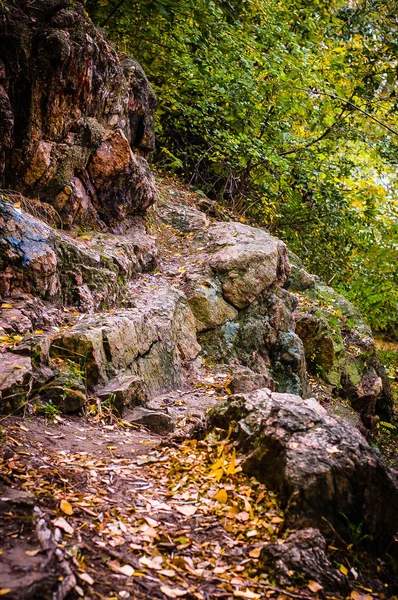 Stones of large sizes in the forest