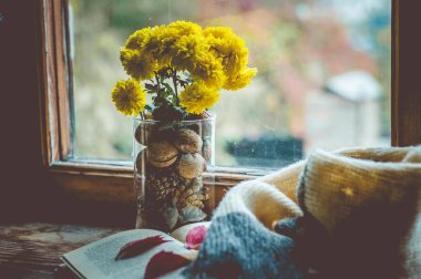 Bir kitaptan bir şeffaf cam şişesi Kasımpatı sonbahar kompozisyon 