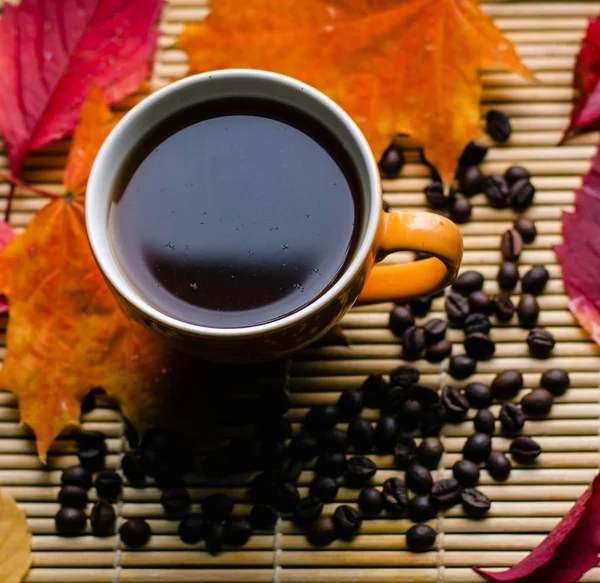 Amor otoñal por el café — Foto de Stock