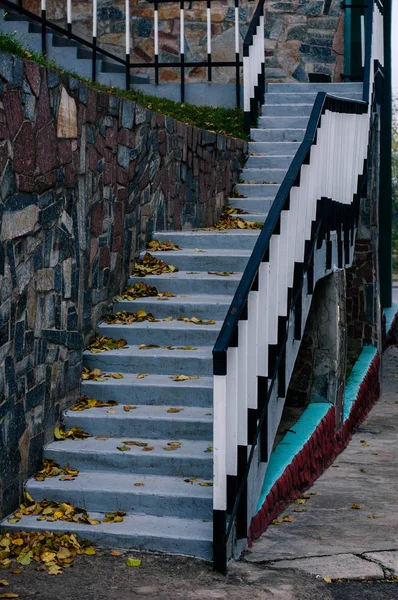 A escada é como uma zebra — Fotografia de Stock