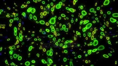 Hareketli görüntü kompozisyonu