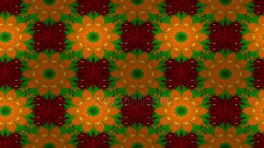 Ayçiçeği fotage döngü kompozisyon hareket