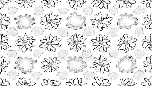 Boceto Fondo Agradable Doodles Colores Grises Flores — Vídeos de Stock