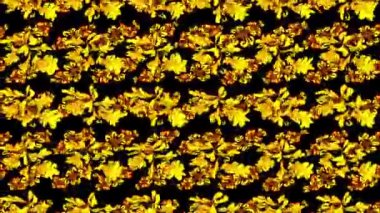 Hareket döngü görüntüleri kompozisyon