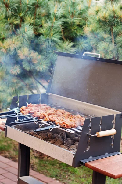 Barbekü closeup ızgara