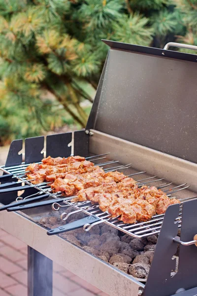 Barbekü Izgara kapatın