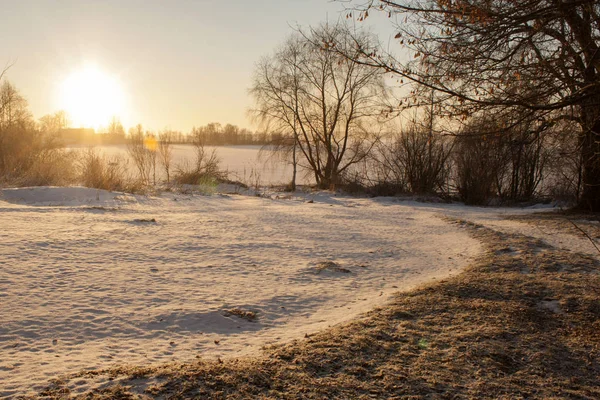 Kış günbatımı ağaçlar ön planda, Karelya, Rusya ile alan