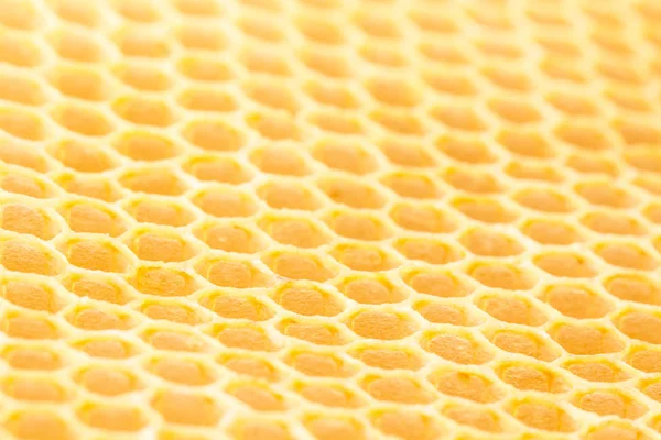 Bal arı peteği yakın çekim — Stok fotoğraf
