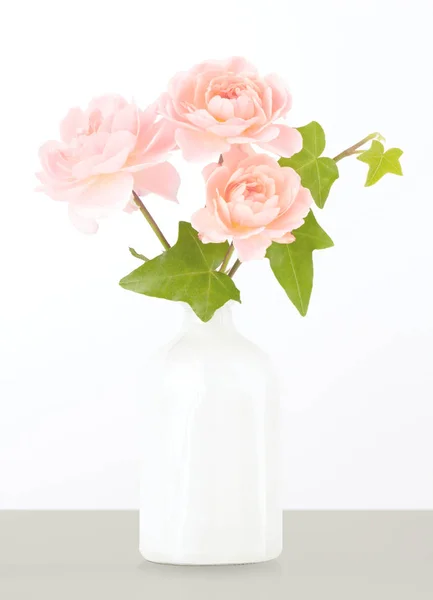 Pink roses and ivy arranged in white vase