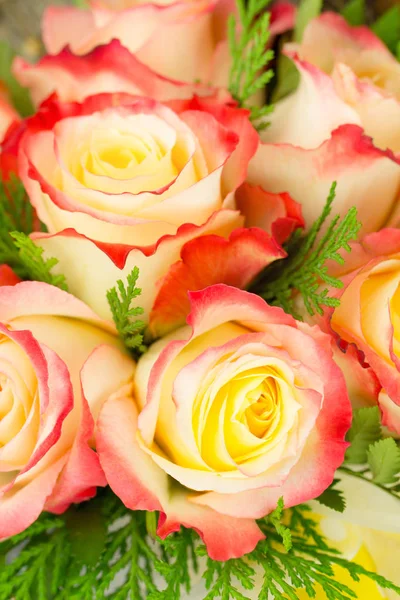 Background of florist hybrid tea rose arrangement with greens — Stock Photo, Image