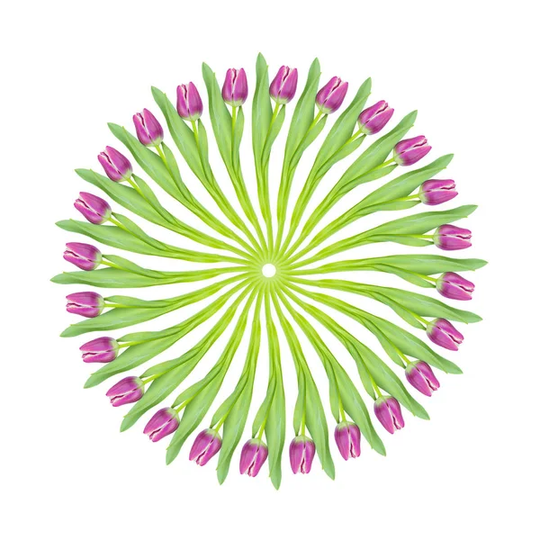 Magenta rosa Tulpen kreisförmige Collage — Stockfoto