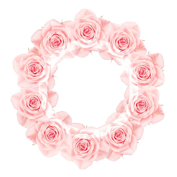 Ροζ τριαντάφυλλα τοποθετημένα σε ένα κύκλο, που απομονώνονται σε λευκό — Φωτογραφία Αρχείου
