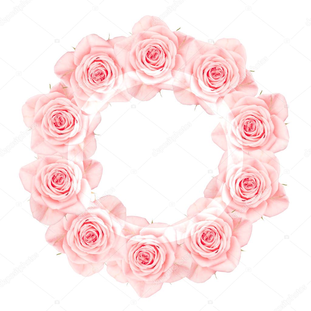 Pink roses arranged in a circle, isolated on white