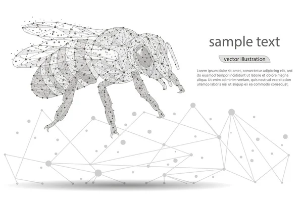 Arı soyut logo tasarımı. düşük Poli izole kare siyah beyaz arka plan üzerinde. Böcekler kavramı çizgiler, noktalar, üçgenler oluşur. Vektör — Stok Vektör