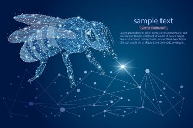 Arı soyut logo tasarımı. düşük Poli çerçeve. dış mekan ve yıldızlı gökyüzünün. Böcekler kavramı çizgiler, noktalar, üçgenler oluşur. Vektör