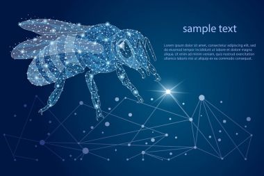 Arı soyut logo tasarımı. düşük Poli çerçeve. dış mekan ve yıldızlı gökyüzünün. Böcekler kavramı oluşur çizgiler, noktalar, üçgenler. 