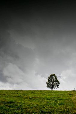 Yalnız bir savaşçı alanında