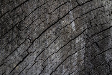 Doğal ahşap dokusu