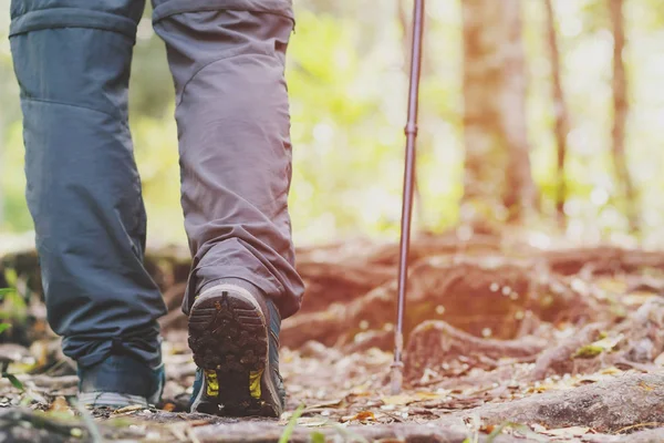 Hiking trail path in action on a mountains or forest with hiking shoes. male hikers shoes. are walking through forest path wearing mountain boots and walking sticks. Destination Experience