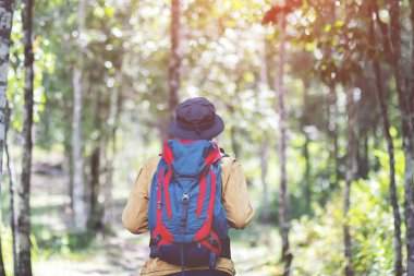 Sırt çantalı adam gezmek için ormana gidiyor. Hayat tarzı seyahat arzusu macerası. Doğanın tadını çıkarıyor. Vadi manzaralı turist gezgini.