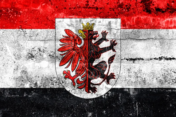 Прапор провінції Куявсько Поморське воєводство з гербом — стокове фото