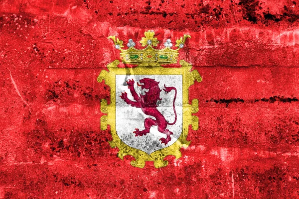 Vlajka Leon, Španělsko, namalované na špinavé zdi — Stock fotografie