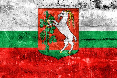 Lublin, Polonya, bayrağı kirli duvara boyalı