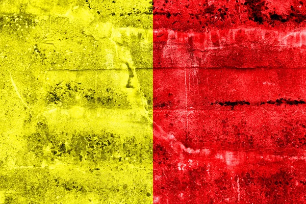 Σημαία του Ορλεάνη, Γαλλία, βαμμένο βρώμικο τοίχο — Φωτογραφία Αρχείου