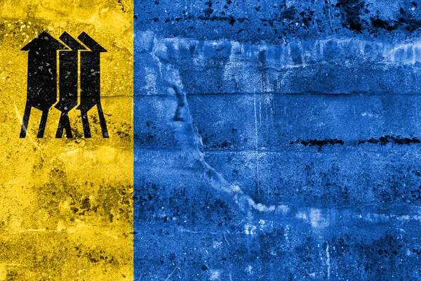 Flagga av Porto Velho, Rondônia, Brasilien, målade på smutsiga vägg — Stockfoto