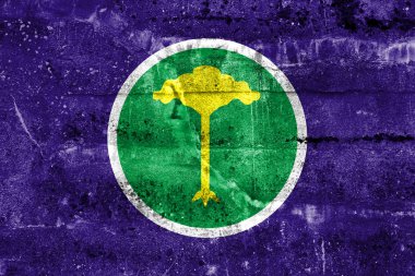 Sao kirli duvara boyalı Carlos, Sao Paulo, Brezilya, bayrağı
