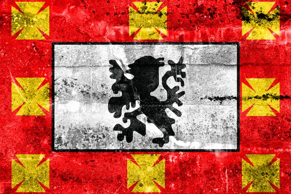 Flagge von sao vicente, sao paulo, Brasilien, auf schmutzige Wand gemalt — Stockfoto