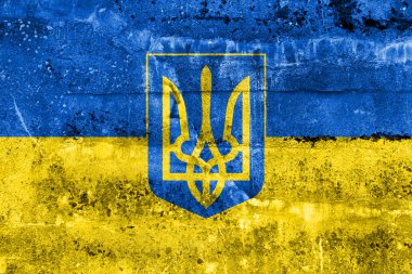 Kirli duvara boyalı üniformaları ile Ukrayna bayrağı