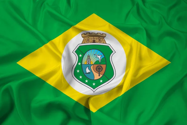 세아라 주, 브라질의 깃발을 흔들며 — 스톡 사진