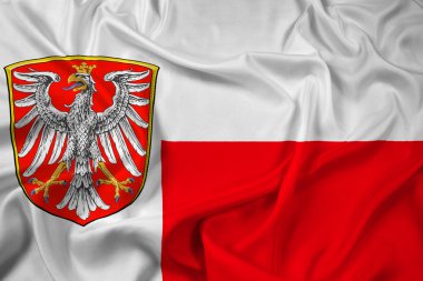 Frankfurt am Main, Almanya bayrağı sallayarak