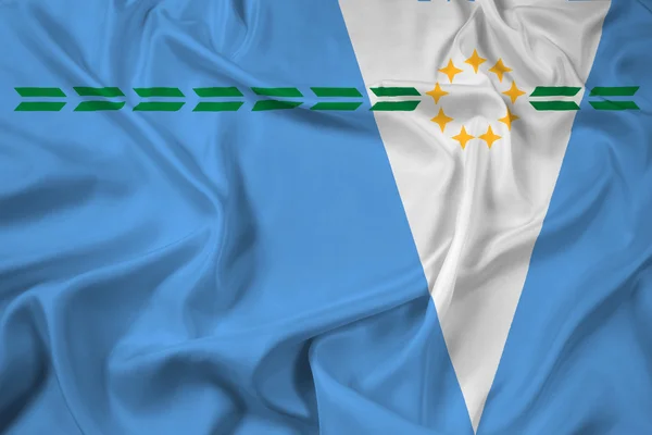 Zwaaien de vlag van de provincie Formosa, Argentina — Stockfoto