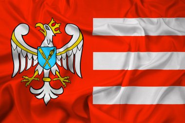 Gniezno County, Polonya bayrağı sallayarak