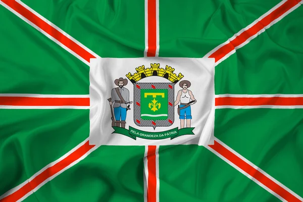 고이아니아, 고이 아 스 주, 브라질의 깃발을 흔들며 — 스톡 사진