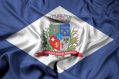 Joinville, Santa Catarina devlet, Brezilya bayrağı sallayarak