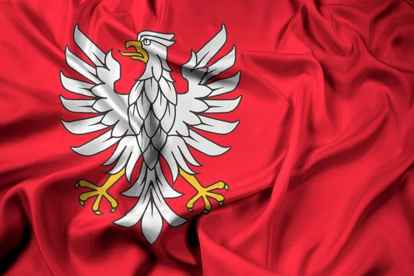 ポーランド、マゾフシェ県の旗を振っています。 — ストック写真