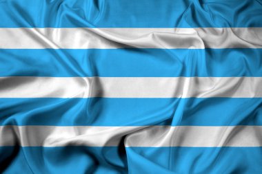 Çoğu şehir, Çekya bayrağı sallayarak