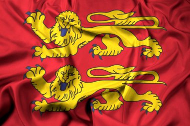 Normandy, Fransa bayrağı sallayarak