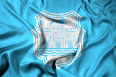 Novi Sad, Sırbistan bayrağı sallayarak