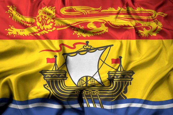 挥舞着国旗的新不伦瑞克省，加拿大 — 图库照片