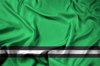 Osipovichi, Beyaz Rusya bayrağı sallayarak